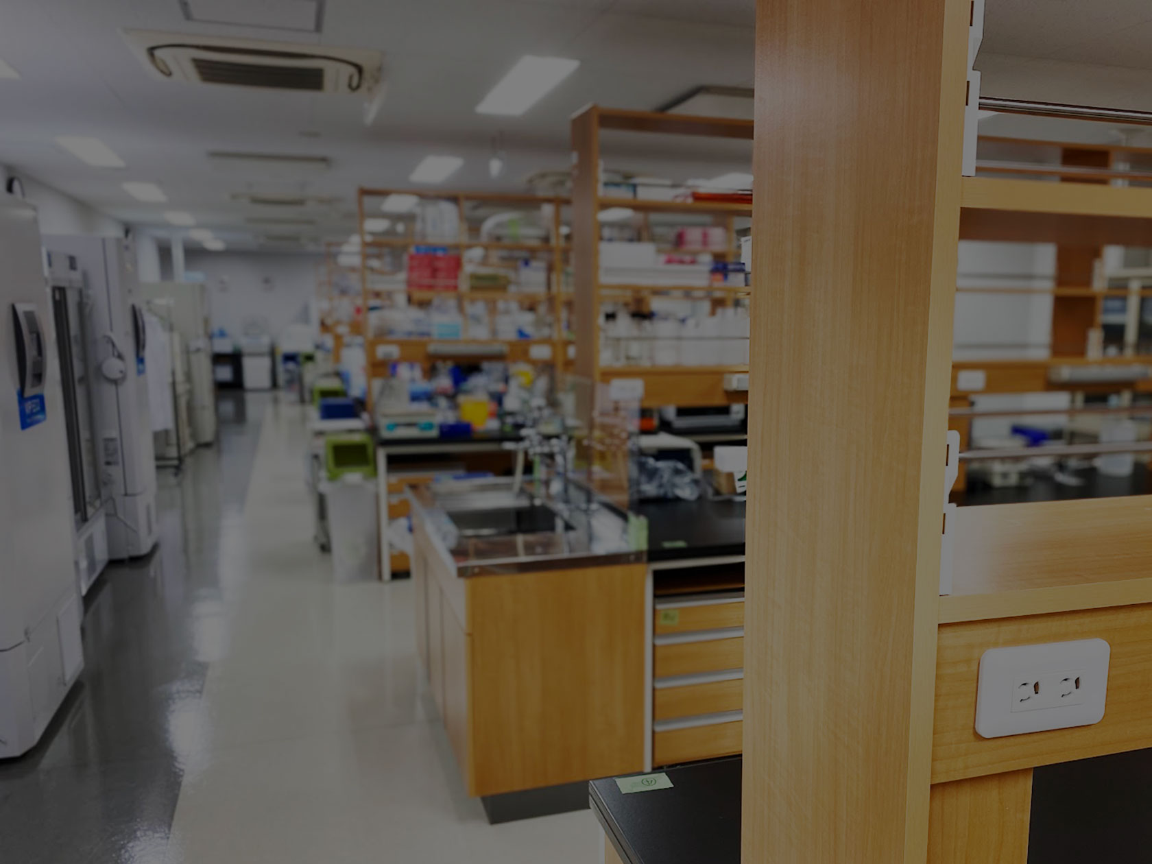 獣医微生物学 獣医微生物学 第5版 – 丸善ジュンク堂書店ネットストア