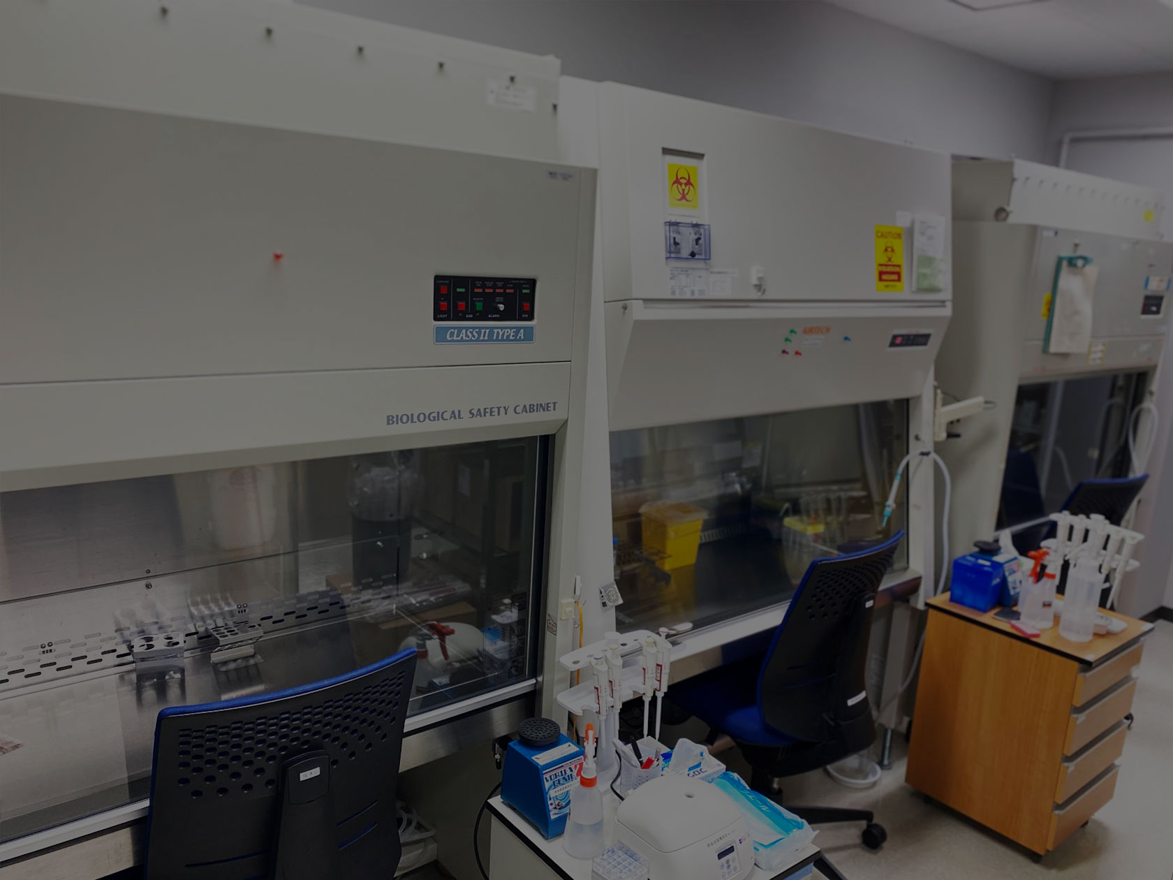 獣医微生物学 Amazon.co.jp: 獣医微生物学 第4版 : 公益財団法人日本獣医学会